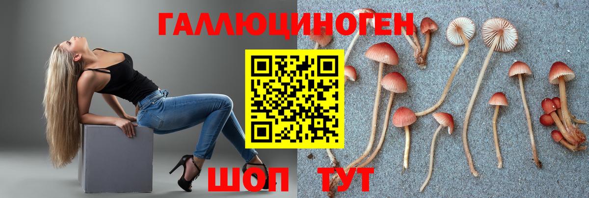 Галлюциногенные грибы Magic Shrooms  купить наркоту  Псилоцибиновые грибы Magic Shrooms  Похвистнево  Вход с VPN 