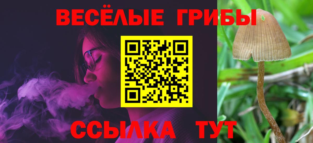 Галлюциногенные грибы Cubensis Похвистнево